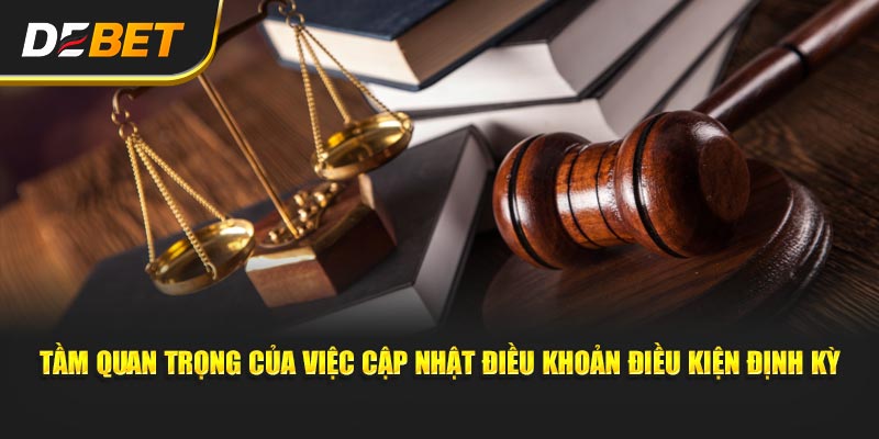 Tầm quan trọng của việc cập nhật điều khoản điều kiện định kỳ